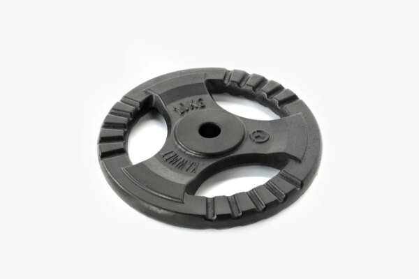 Metalinis palapinės svoris - 10 kg