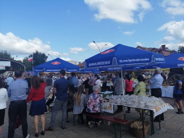 Lauko skėčiai CITIES Mitko